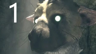 THE LAST GUARDIAN Walkthrough Part 1 PS4 PRO 1080P  No Commentary