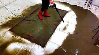 Flooded carpet cleaning satisfying rug cleaning ASMR