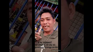 ANG KUMPARE KONG APO NI KUMANDER LIGAYA AT KUMANDER TOOTHPICK NG ILAGA SAMAR