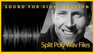 Sound for Video Session: Split Poly Wav Files with 3+ Channels