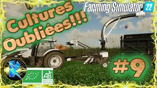 Fs22 Cultures Oubliées: #9 On récolte la canne à sucre! #farmingsimulator #farming