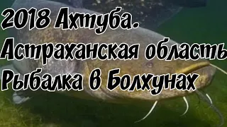 🐳👍🏼Рыбалка в Астрани,🐳🐋  Ахтуба.  2018, Астраханская область. Болхуны.