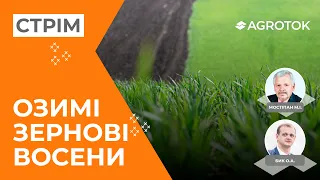 🌾 ОСІННІЙ ДОГЛЯД ЗА ПОСІВАМИ ОЗИМИХ ЗЕРНОВИХ 🌾