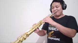 Sometimes when we touch by Dan Hill (saxophone cover)