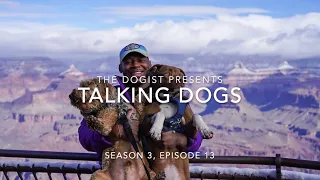 TALKING DOGS: Milo & Noah – How a Non-Dog Person Ends up With Three Dogs