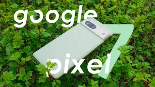 Лучший фотофлагман 2024? Обзор Google Pixel 7