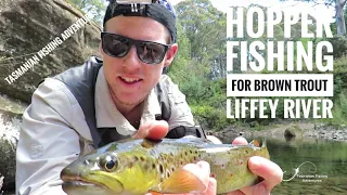 TFA #27 | Grasshopper or Hopper Fishing for Brown Trout | Liffey River | Tasmania