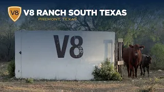 A Hidden Gem: Behind the Scenes at V8 Ranch's South Texas Retreat in Premont, Texas