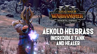 Aekold Helbrass - Unit overview and How to Get Him - Total War: Warhammer 3 Shadows of Change
