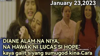 Unica Hija" ang paghahanap ni Diane kay Hope"(January 23,2023)Episode 56 teaser update