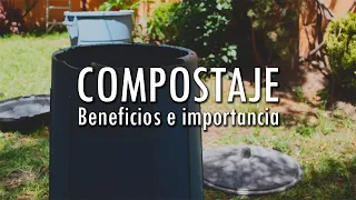 BENEFICIOS DEL COMPOSTAJE [+compostera reciclada] | Neto