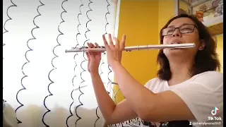 Grow Old With You by Adam Sandler (Flute)