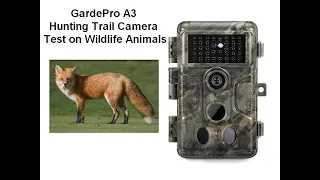 GardePro A3 Hunting Trail Camera first Wildlife Animals Video Test