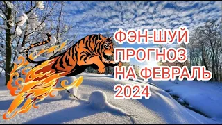 ФЭН-ШУЙ ПРОГНОЗ НА ФЕВРАЛЬ🐯 МЕСЯЦ ОГНЕННОГО ТИГРА#2