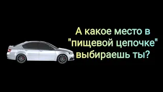 Взаимоотношения мужчин и женщин в современном обществе глазами МДшника