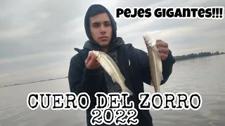 MIRA LOS PEJES QUE SACAMOS EN CUERO DEL ZORRO/ GYJ PESCA 2022