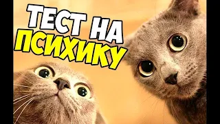 СМЕШНЫЕ КОШКИ 2020 КОШКИ Приколы Кошками и Котами Funny Cats