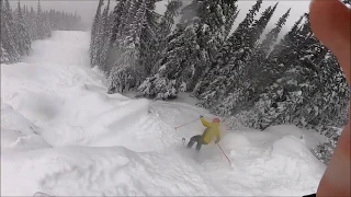 20 year storm, 20,000' powder vertical, year 2020 at Bigwhite