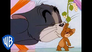 Tom et Jerry en Français | Le baiser de Tom & Jerry | WB Kids