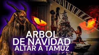 El oscuro origen del Árbol de Navidad 🎄😨