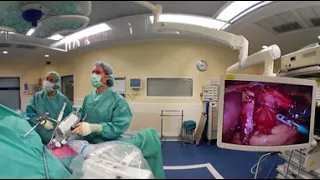 Virtual Surgery; Autolap 360