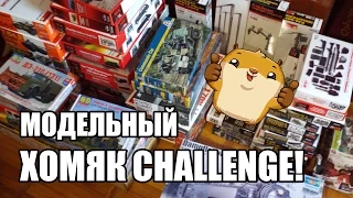 Модельный Хомяк-Challenge! Ответ на "Хомяк Челендж" от Hedgehog - все сборные модели в одном видео!