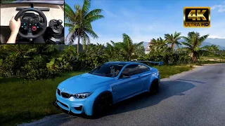 BMW M4 Coupe 650HP | Forza Horizon 5 | Logitech g29 gameplay