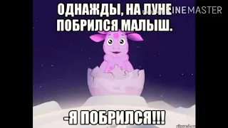 Лунтик побрился😂