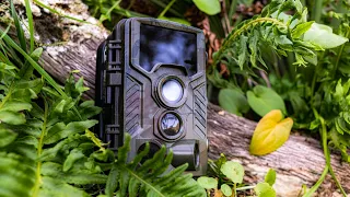 TRAIL CAMERA COOLIFE H881 WI-FI VIDEO REVIEW, HOW IT WORKS AND RESULTS IN THE WILD