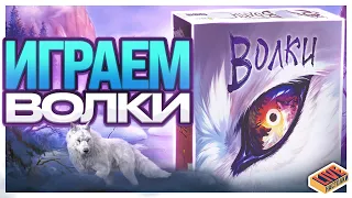 Играем в настольную игру Волки