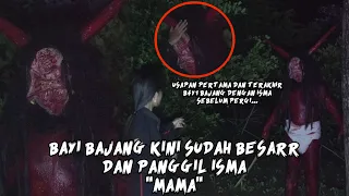 BAJANG LULUH SAAT BERTEMU ISMA DAN MEMANGILNYA MAMA, TERNYATA IA BAJANG YANG PERNAH DIL4H1RKANNYA