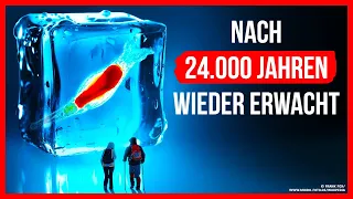 Urzeitliche Kreatur erwacht nach 24 000 Jahren aus dem Eis