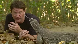 Monitor Lizard LICKS Steve's Eye! | Deadly 60 | BBC Earth