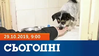 Сьогодні - полный выпуск за 29 октября 2019, 9:00