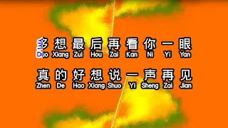 王奕心  《 我的唇吻不到我爱的人 》  wo de chun wen bu dao wo ai de ren