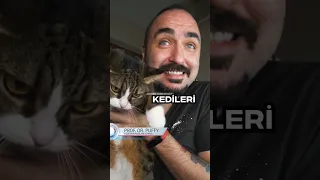 KEDİLER HAKKINDA BUNU BİLİYOR MUSUN.? #shorts #kedi #cat #bilgi