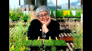 Fighting Climate Change With Plants - Salk Institute Professor Joanne Chory, PhD