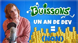 How much money did I make with my indie game? (took me ONE YEAR to complete) - Buissons