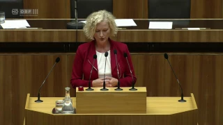 2017 06 29 134535 Nationalratssitzung zeitversetzt Karin Greiner SPÖ