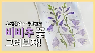 롼쌤 아트 | 수채 물감 과 색연필로 비비추 꽃 그려보자!