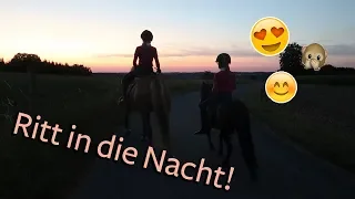 MIT LENI IN DEN SONNENUNTERGANG 😍❤️ | Ausritt mit Inka & Smarty | Marina und die Ponys