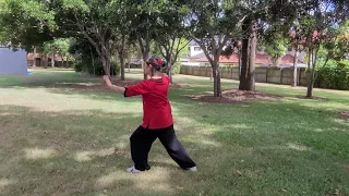 28 form Tai Chi Back View 28式太極拳背向示範