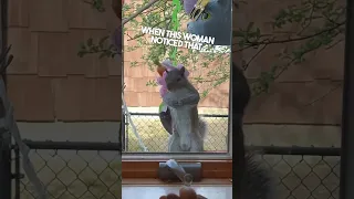 This squirrel is living its best life 😂