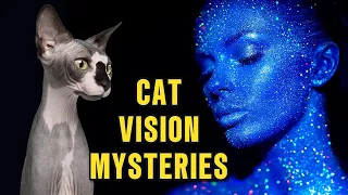 How CATS SEE The UNSEEN 🙀 & YOU: Cats Eyes Explained