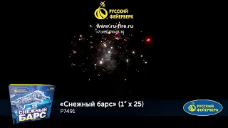 Р7491: Снежный барс