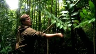 Ray Mears _Jungle Machete Tips