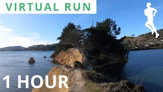 Virtual Run 1 Hour | Virtual Running Videos For Treadmill 4K