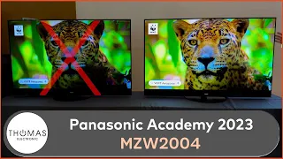 Preview Ersteindruck Panasonic MZW2004 | 2023 | Master OLED ULTIMATE Panel mit MLA Technologie