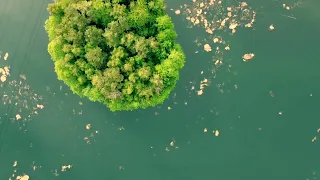 Am Grünen See / Mühlheim