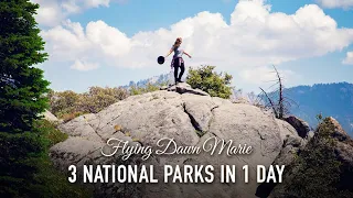 VLOG 164: 3 National Parks in 1 Day (Yosemite - Kings Canyon - Sequoia)